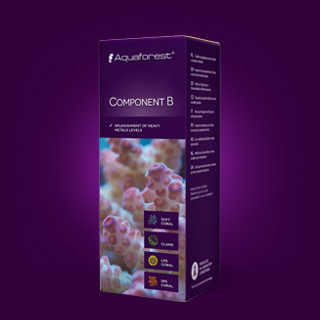 Aqua Forest Component B 150ml