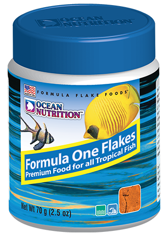 Ocean Nutrition Formula One Flakes 71g