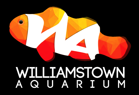 Williamstown Aquarium