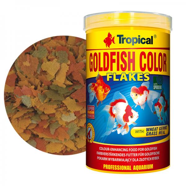 Tropical best sale super goldfish