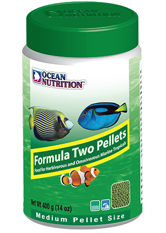 Ocean Nutrition Formula Two Pellet Medium 400g