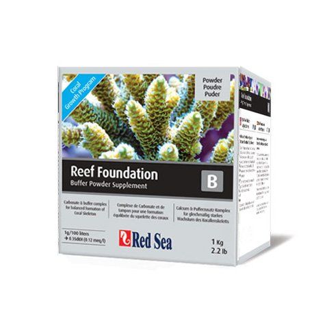 Red Sea Foundation B 1kg