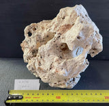 AMS Texas Holey Rock Per Kg (In Store Only)